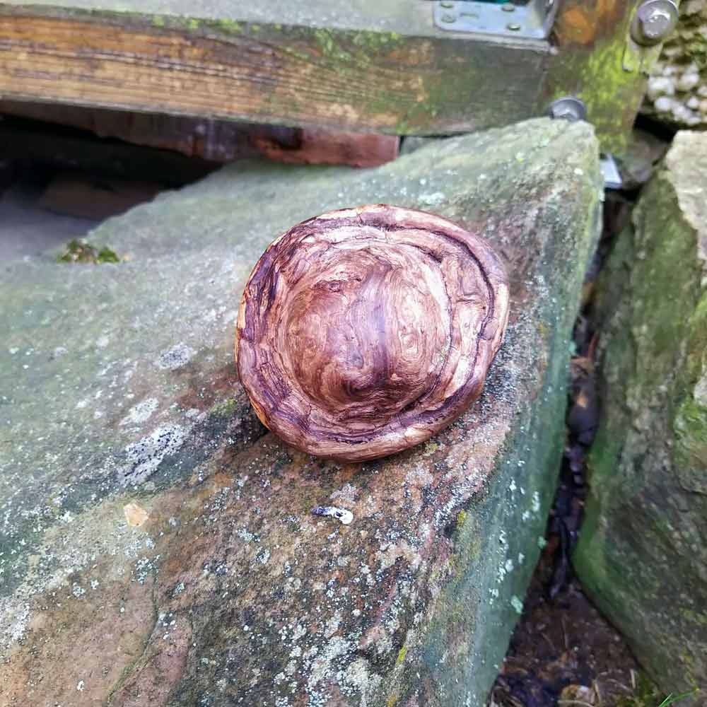 Wunderling mit Gesicht